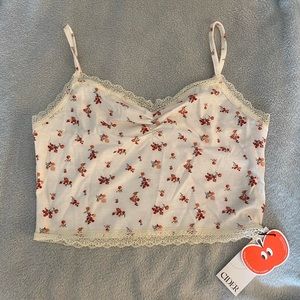 NWT!! Cider Floral Crop Top